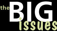 The Big Issues